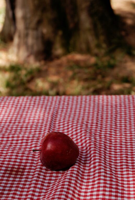 How to Plan a Simple Picnic at a Local Park
